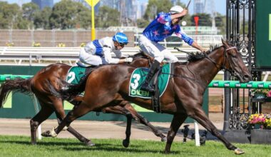 Standout New Zealand stallion sold to Australia in shock move