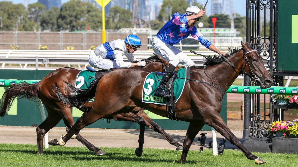 Standout New Zealand stallion sold to Australia in shock move