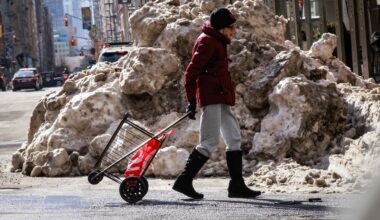 Heavy snow falls in the US Carolinas, as iguanas fall from trees in Florida during icy weather