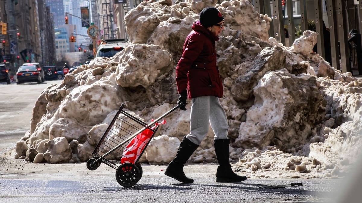 Heavy snow falls in the US Carolinas, as iguanas fall from trees in Florida during icy weather