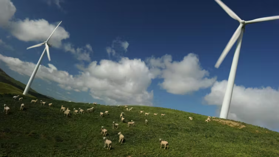 A major step backwards for decarbonisation