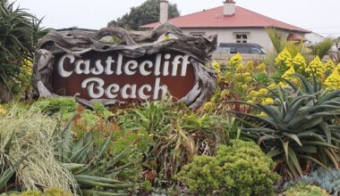 Whanganui’s Rangiora St makeover: How succulents transformed a suburb