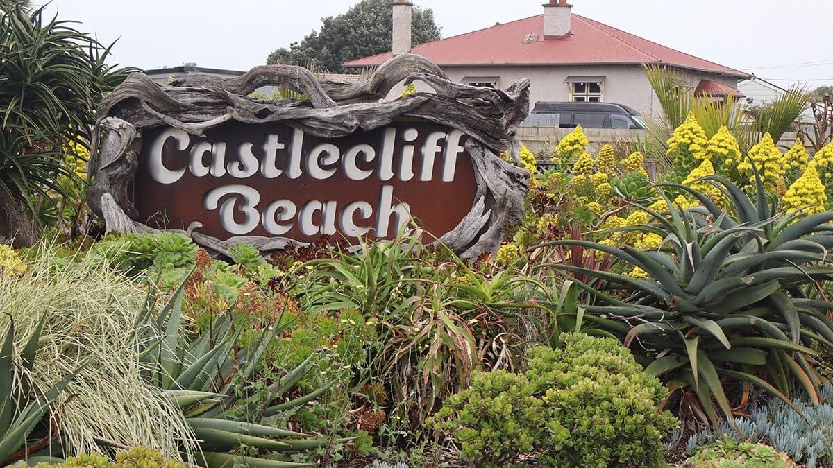 Whanganui’s Rangiora St makeover: How succulents transformed a suburb