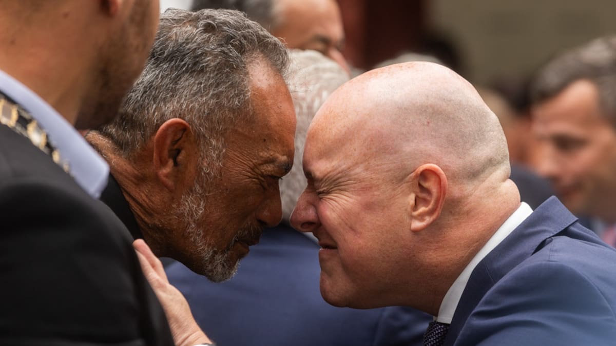 Promises of unity not easy to see from Waitangi 2026 - Adam Pearse