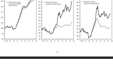 Japan January wholesale inflation slows to 2.3% as import prices rise