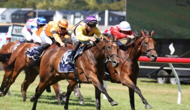 Foal that swam for life in Cyclone Gabrielle floodwaters wins $178,000 horse race