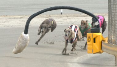 Government bill to ban greyhound racing would close tracks and kill jobs – Sarah Claussen