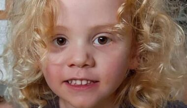 Man arrested over firearms offences as police search for missing 4yo Gus Lamont at South Australia property