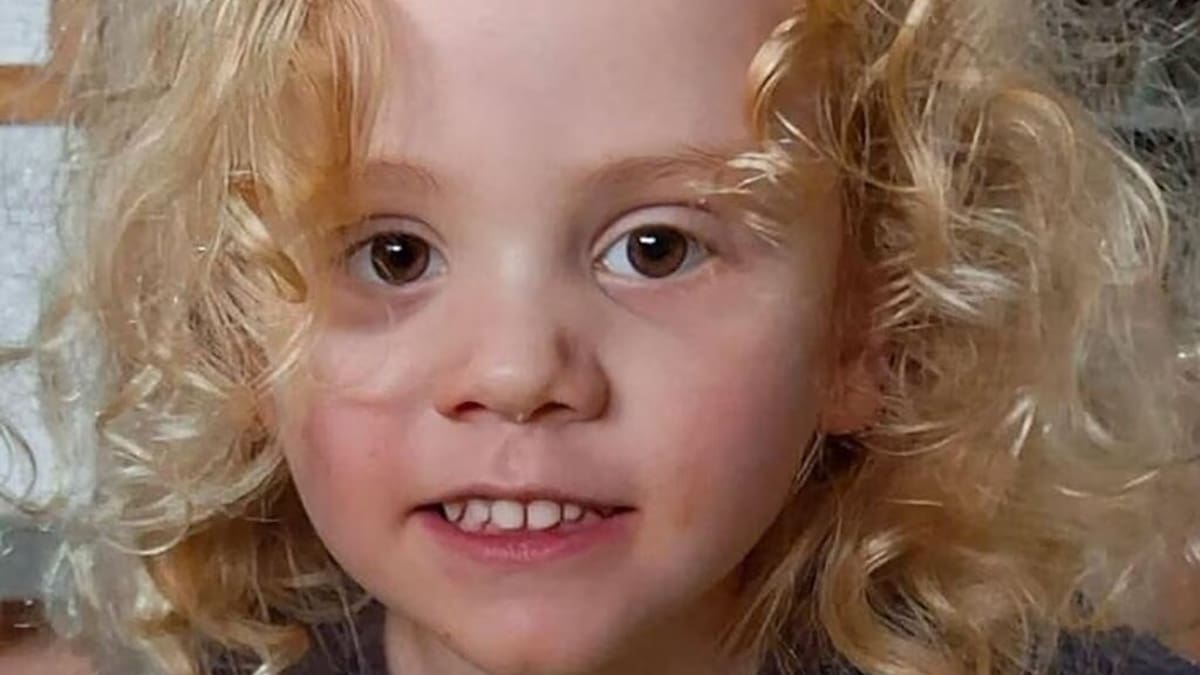 Man arrested over firearms offences as police search for missing 4yo Gus Lamont at South Australia property