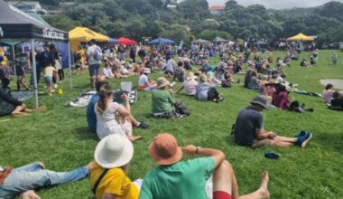 Island Bay Festival cancels water-based activities due to sewage spill but thousands still attend