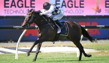 Yulong buys That’s Gold as spending spree on New Zealand’s best racehorses continues