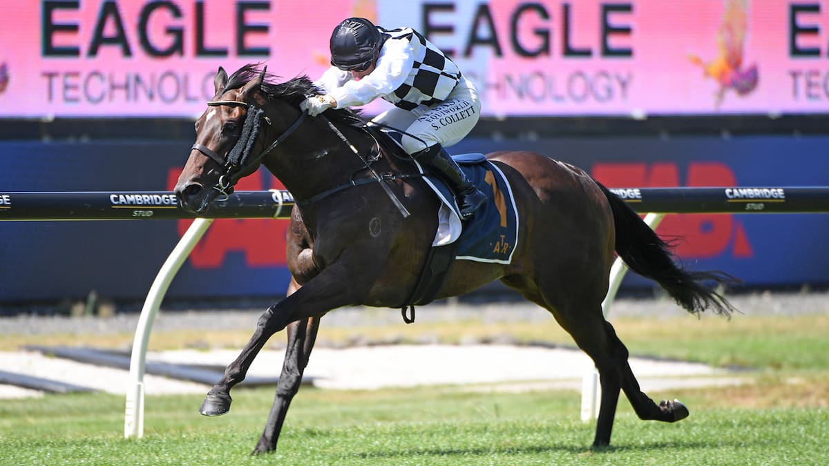 Yulong buys That’s Gold as spending spree on New Zealand’s best racehorses continues