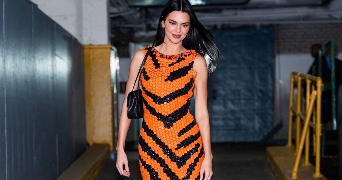 Kendall Jenner’s Fully Sheer Tom Ford Dress Literally Hangs by a String