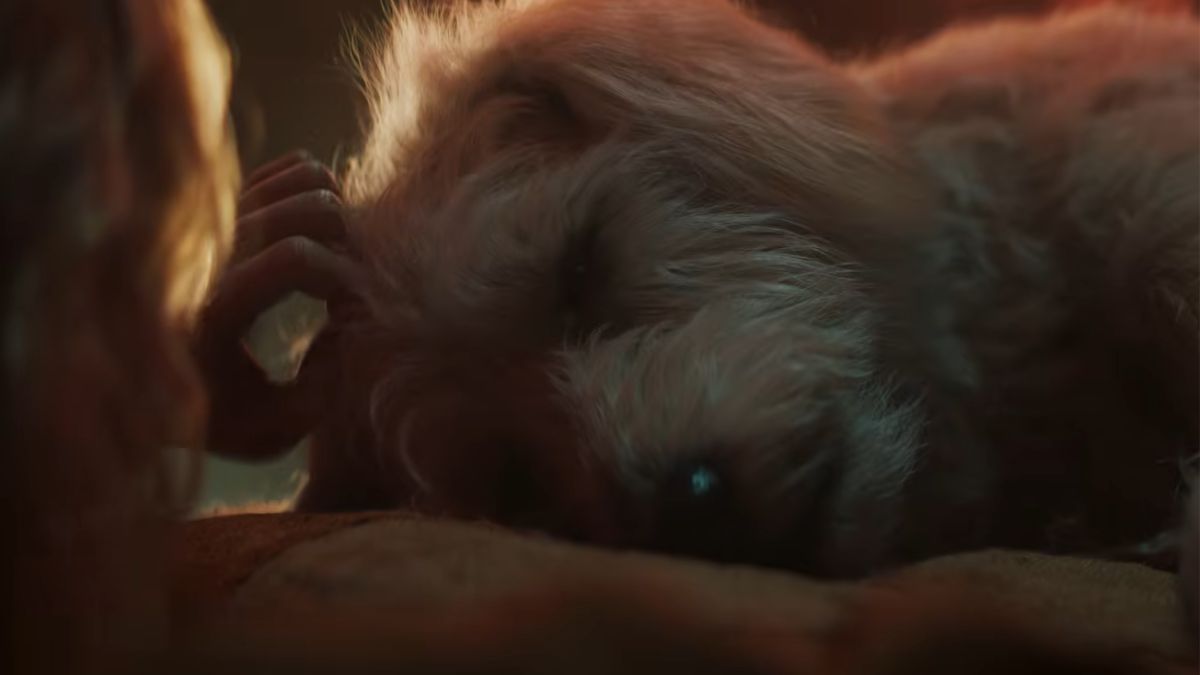 Will Krypto Die in Supergirl (2026)? Here's What Happens in the DC Comic