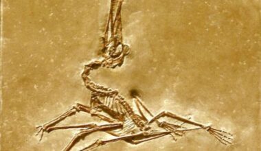 Herald morning quiz: February 5