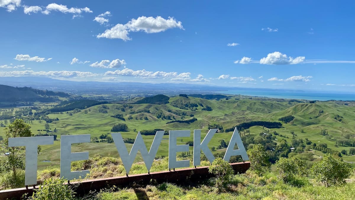 Te Weka Estate offers new view of Hawke’s Bay
