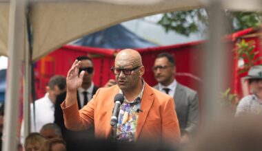 Te Pāti Māori tension at Waitangi leaves chances of reconciliation in ruin – Adam Pearse