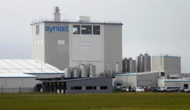 Synlait Milk warns of $77m to $82m half-year loss after Dunsandel issues