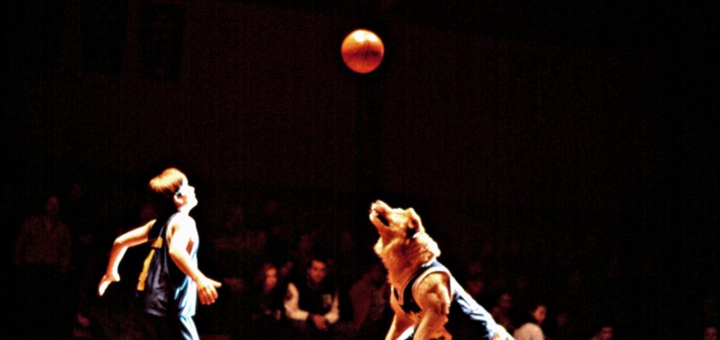 'Air Bud Returns' Sets Late Summer Theatrical Release