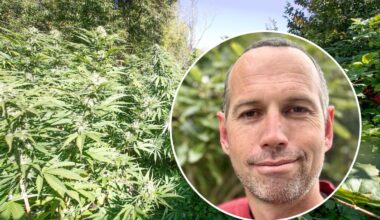 Remote cannabis grower Aaryn Barlow has sentence varied; avoids ankle monitor over no-phone-zone home