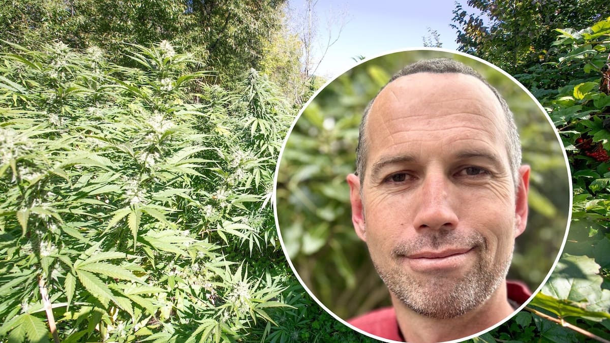 Remote cannabis grower Aaryn Barlow has sentence varied; avoids ankle monitor over no-phone-zone home