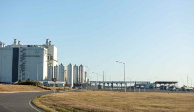 GDT dairy prices jump 6.7% in strongest rise since 2021 as skim milk powder and butter prices up