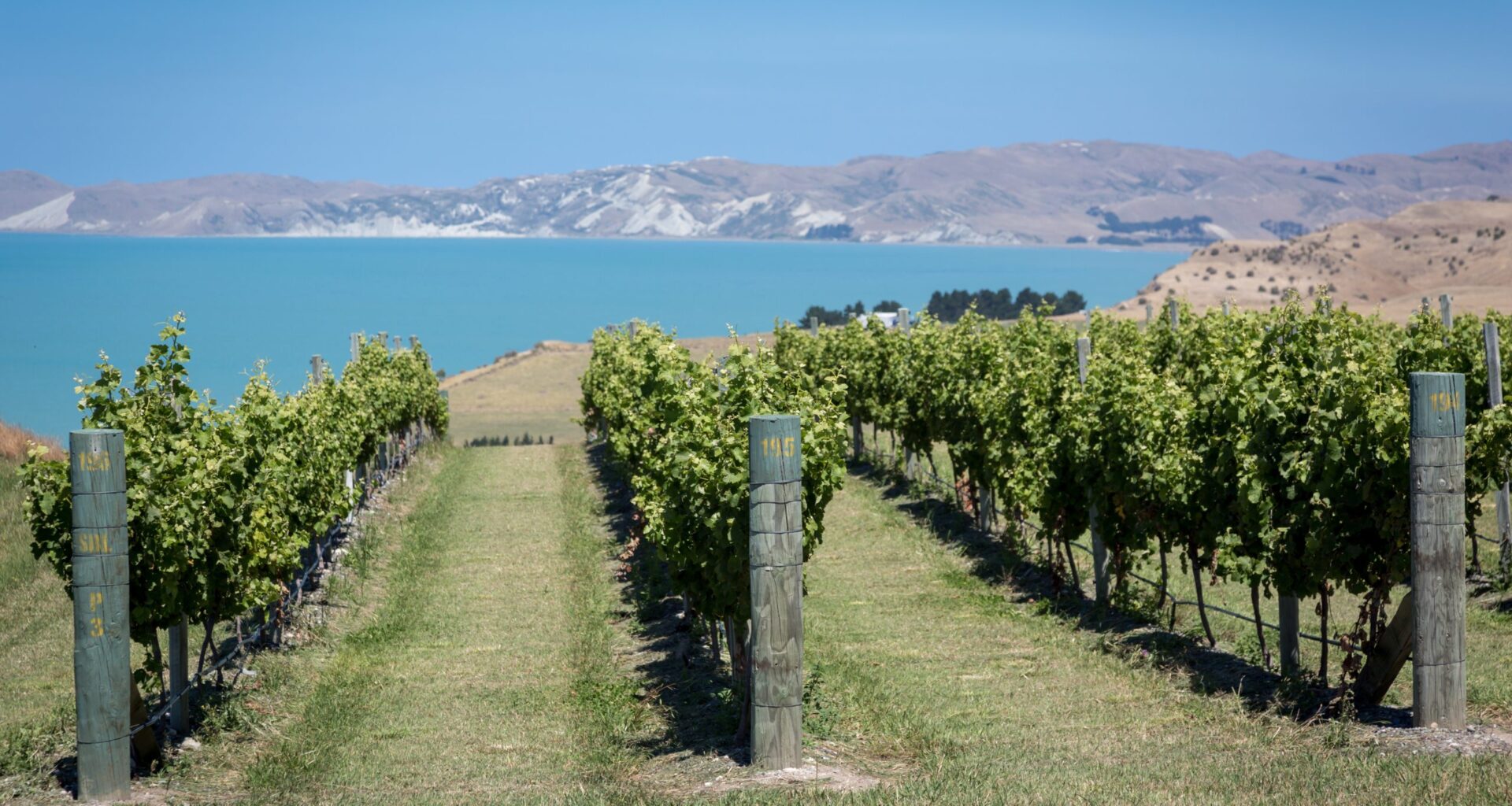moving the Marlborough conversation on