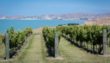 moving the Marlborough conversation on