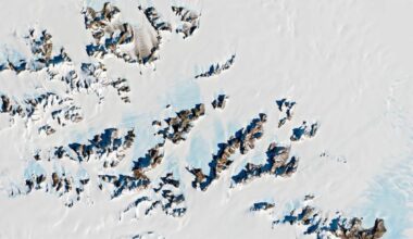 Nasa Discovers Martian Meteorite With Traces Of Water Hidden For 50,000 Years In Antarctica