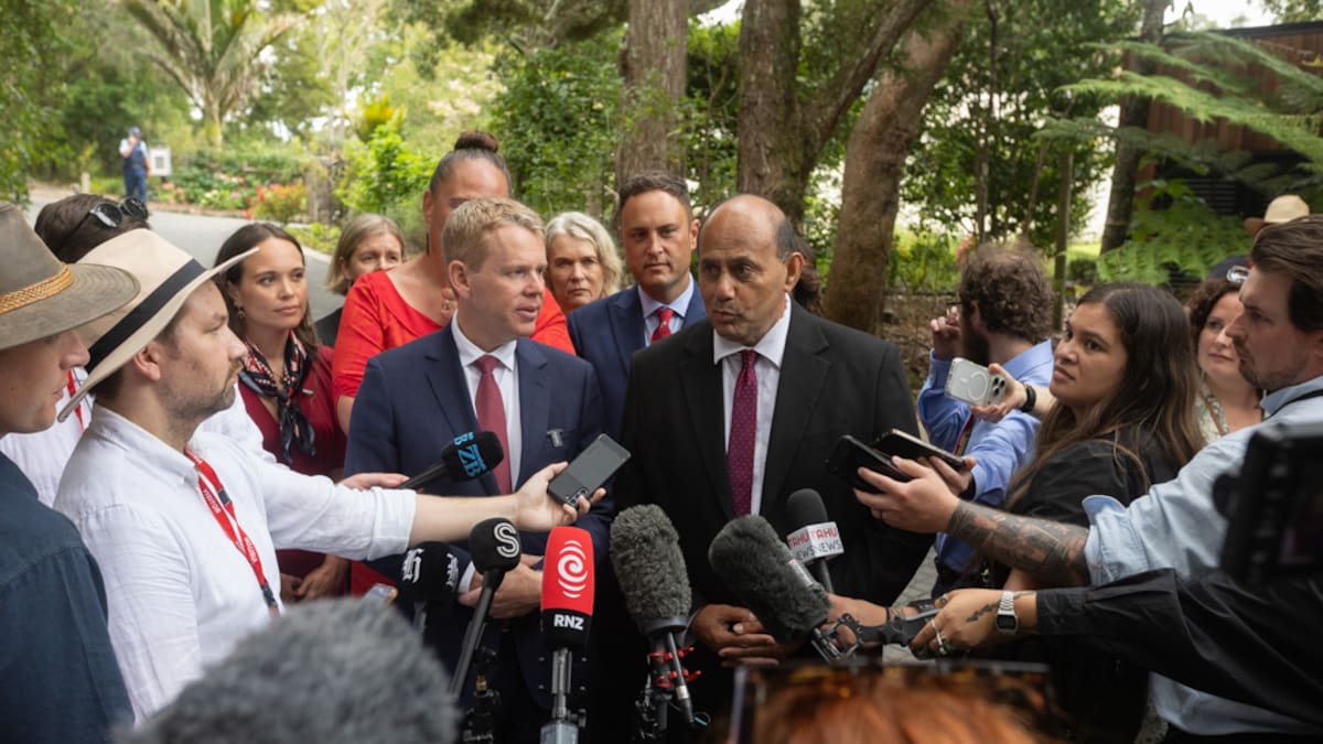 Labour cosying up to the Greens makes them look desperate – Heather du Plessis-Allan