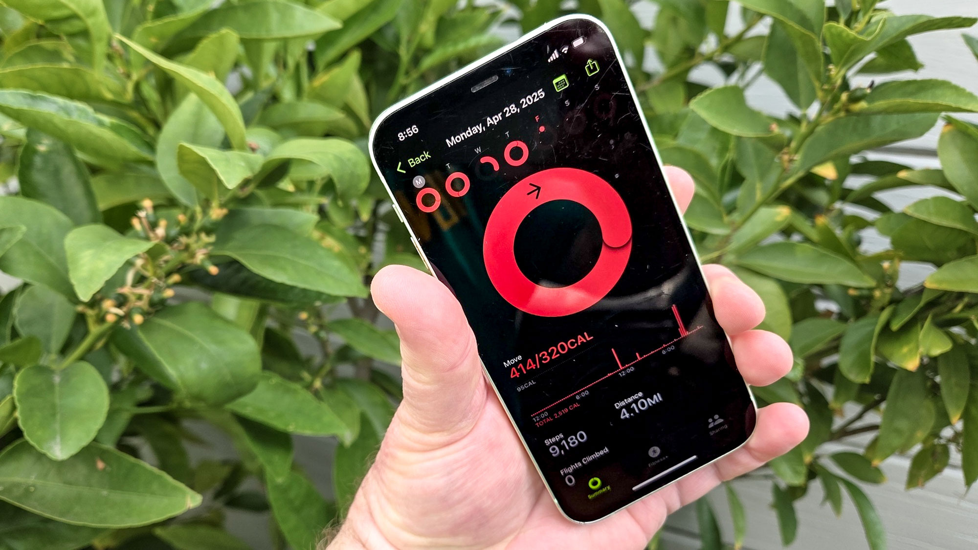 move ring in the fitness app on an iphone
