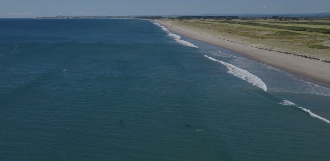 Orca cruising the Pāpāmoa Beach shallows. Ocean swimmer Jono Ridler and his crew can be seen in the top left of the picture. Photo / Live Ocean