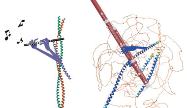 Music inspires proteins and scientists alike
