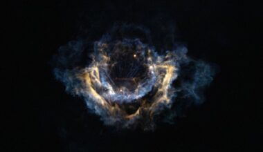 SpaceX Falcon 9 rocket plume blossoms over Florida photo of the day for Feb. 18, 2026