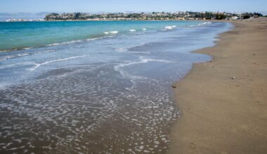 Police re-appeal for information in drowning of boy,5, at Napier beach