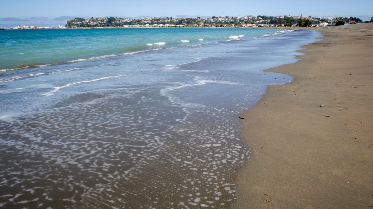 Police re-appeal for information in drowning of boy,5, at Napier beach