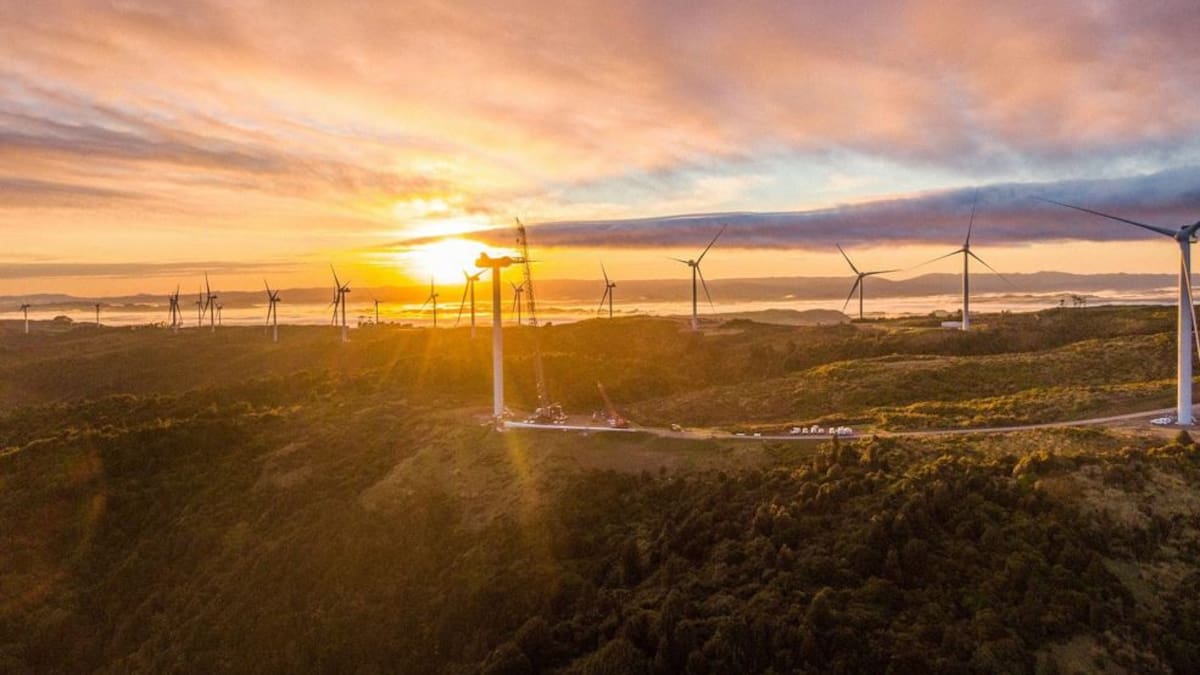 Kiwi blue chips helped higher on results and residual news – Market close