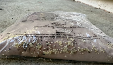 Kiwi shopper finds live insects in Peppermayo order, triggering biosecurity probe