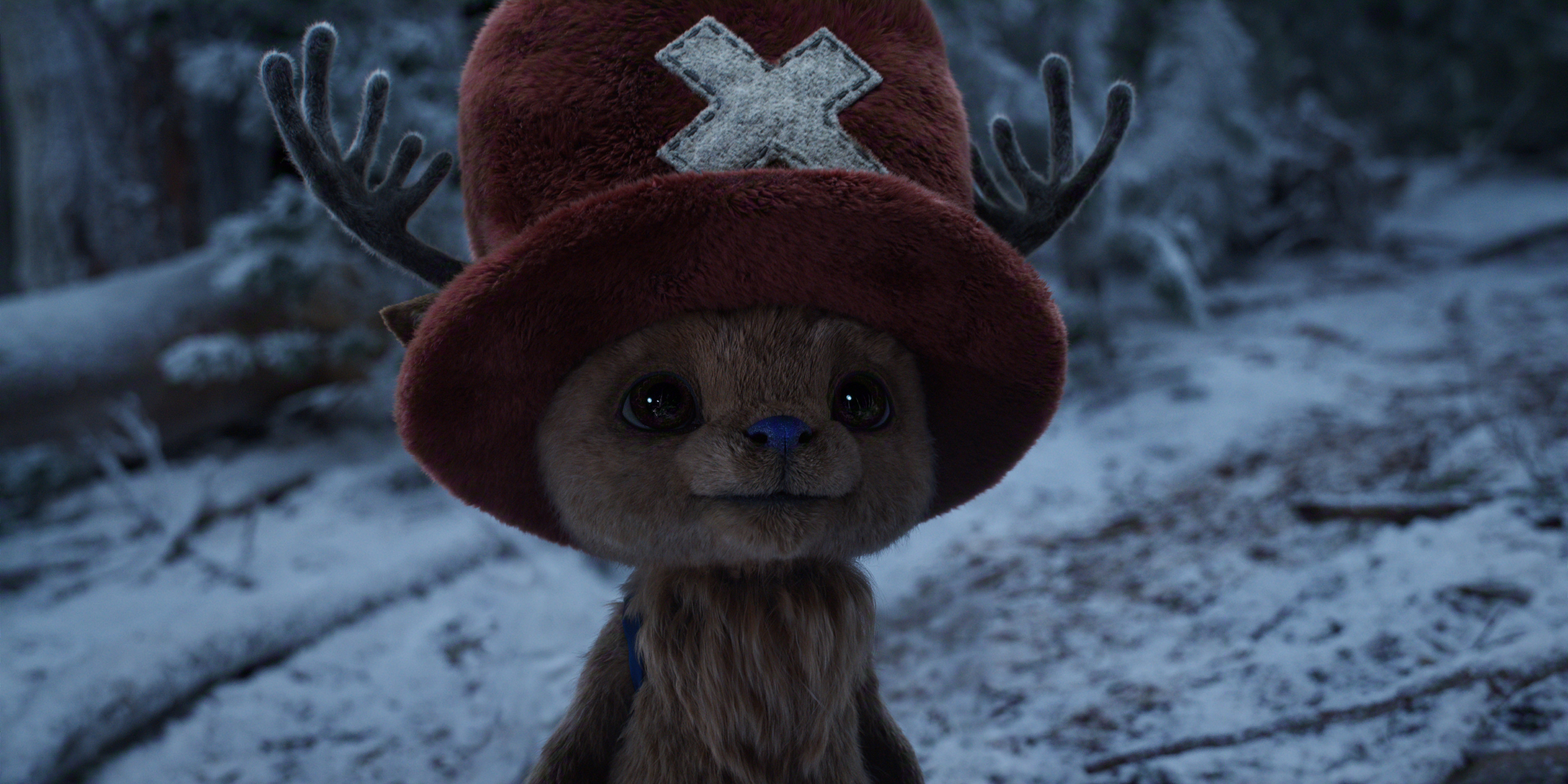 One Piece N S2 00 22 31 20R