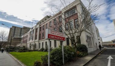 Southern hospital IT outage caused by third-party hardware failure, Health NZ says