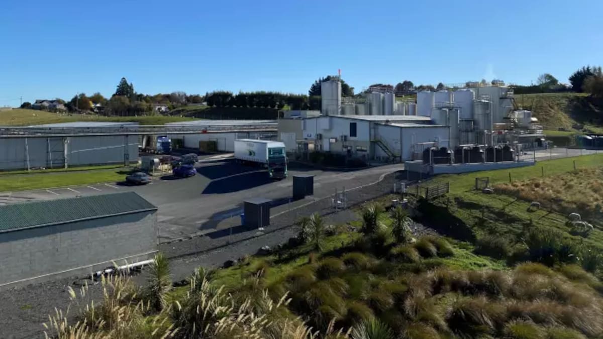 Fonterra farmers in line for $4.2b windfall on bumper dairy season and Mainland sale