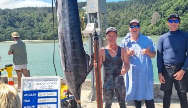 Friends who have never seen marlin capture 96kg fish off Whangamatā