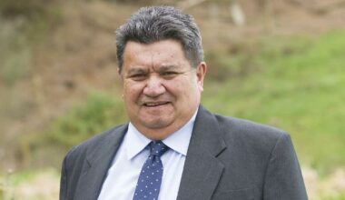 South Waikato council walkout after mayor challenged on camera ban by councillors