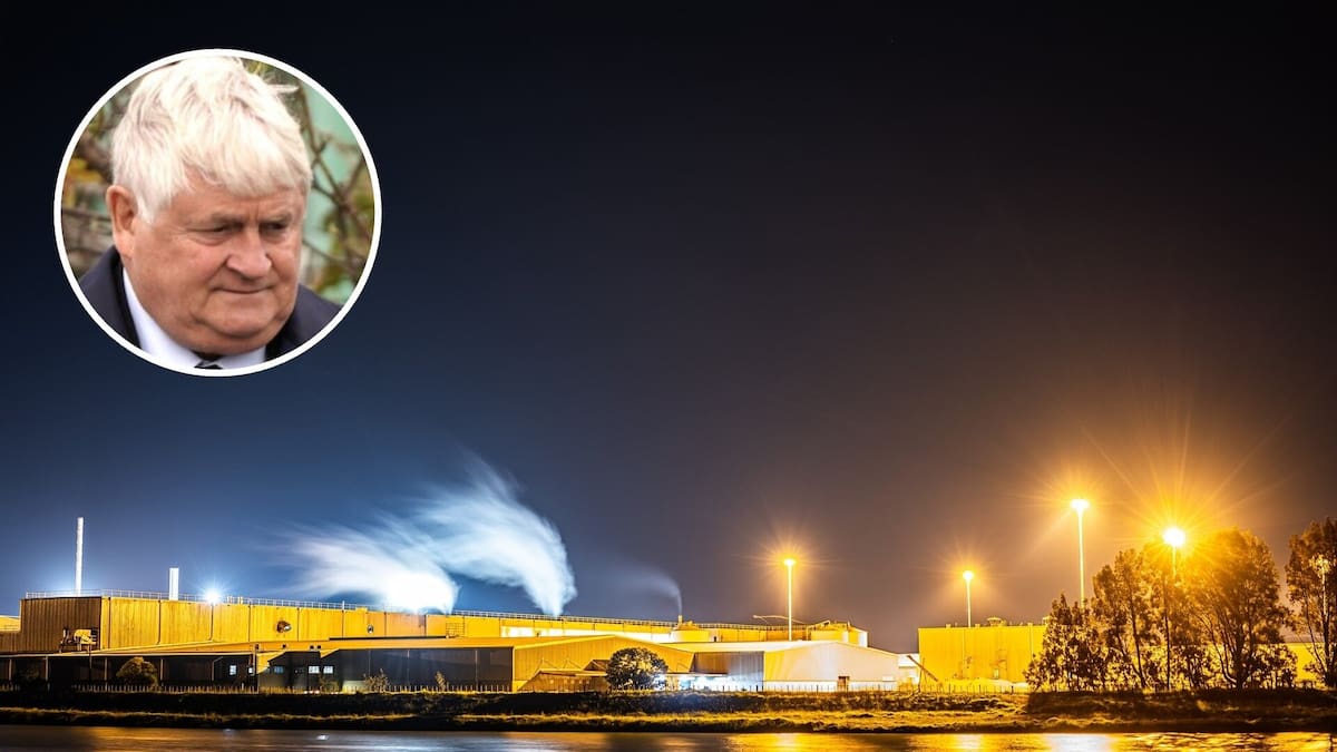 Denis O’Brien emerges as major shareholder in Whakatāne Mill recapitalisation