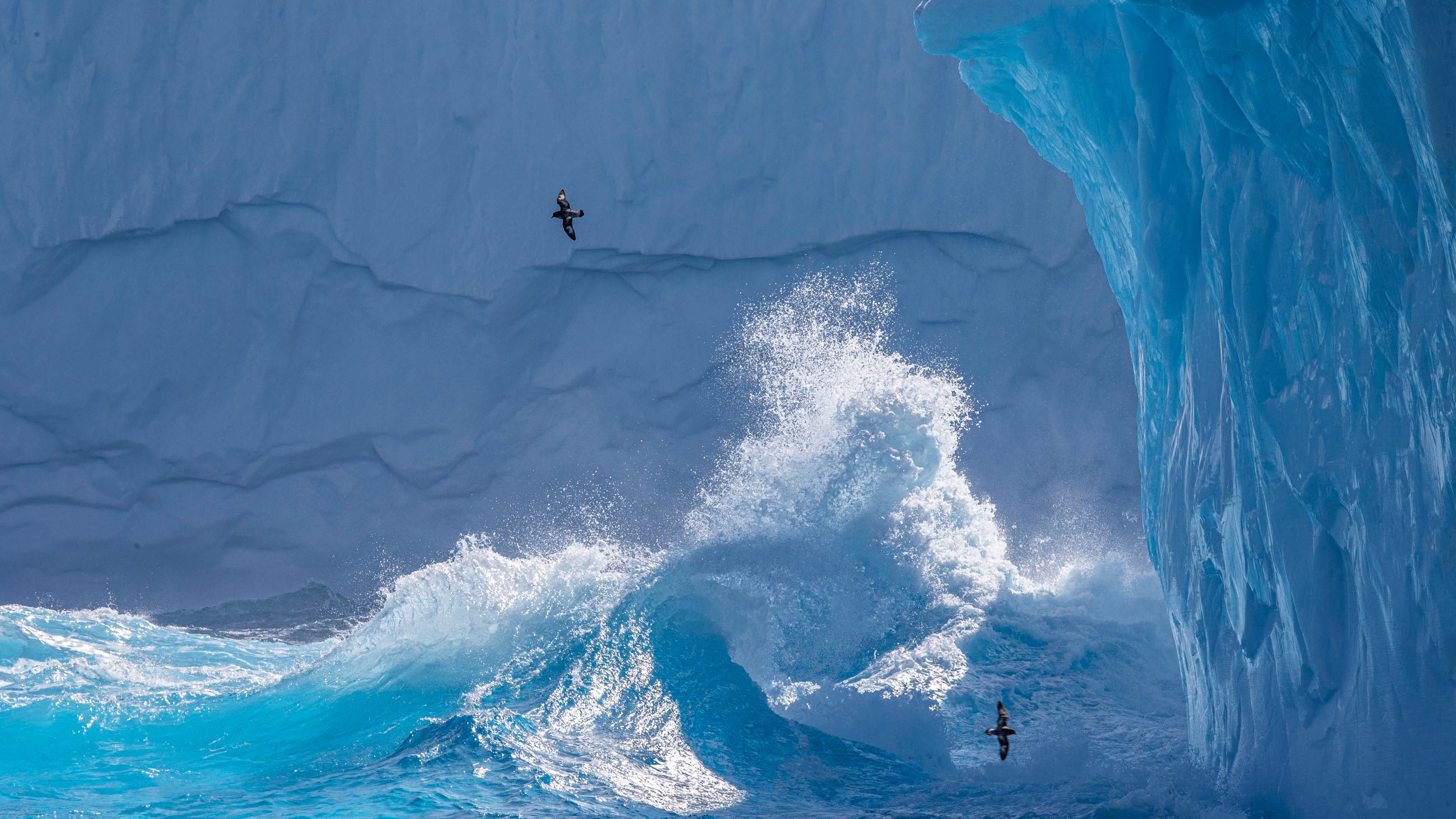 Scientist Dr Marco Tedesco is worried that 'Antarctica becomes another must-see bucket-list destination for a growing global elite, with incremental impacts further eroding the very wonder people travel so far to experience'