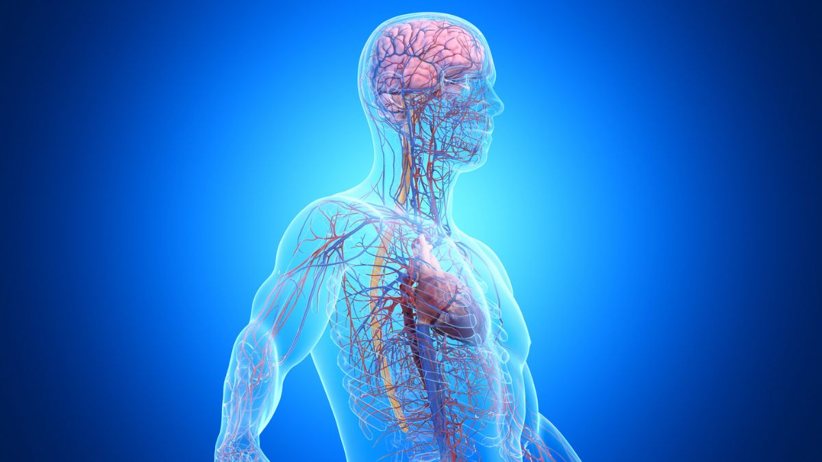 One in Three Dementia Cases Is Linked to Disease Outside The Brain : ScienceAlert