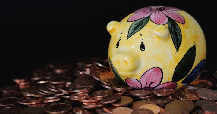 Canadian couples say they need $1.7M to retire. Are you on track? - National