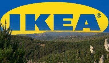 Ikea owner Ingka plans to double NZ forestry land to 100,000ha