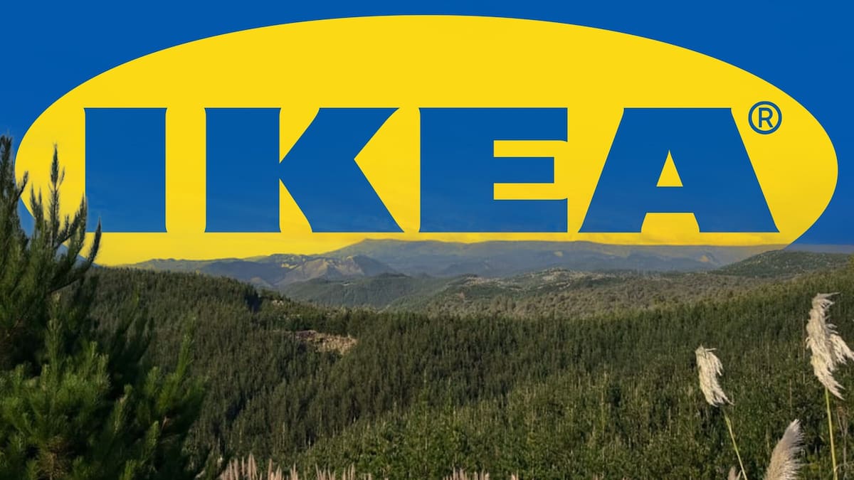 Ikea owner Ingka plans to double NZ forestry land to 100,000ha