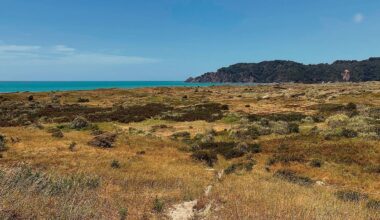 Environment Court weighs clash between BOP burial site claims and coastal development